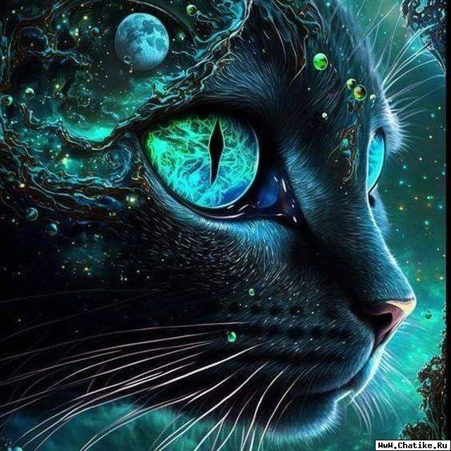 Cheshire